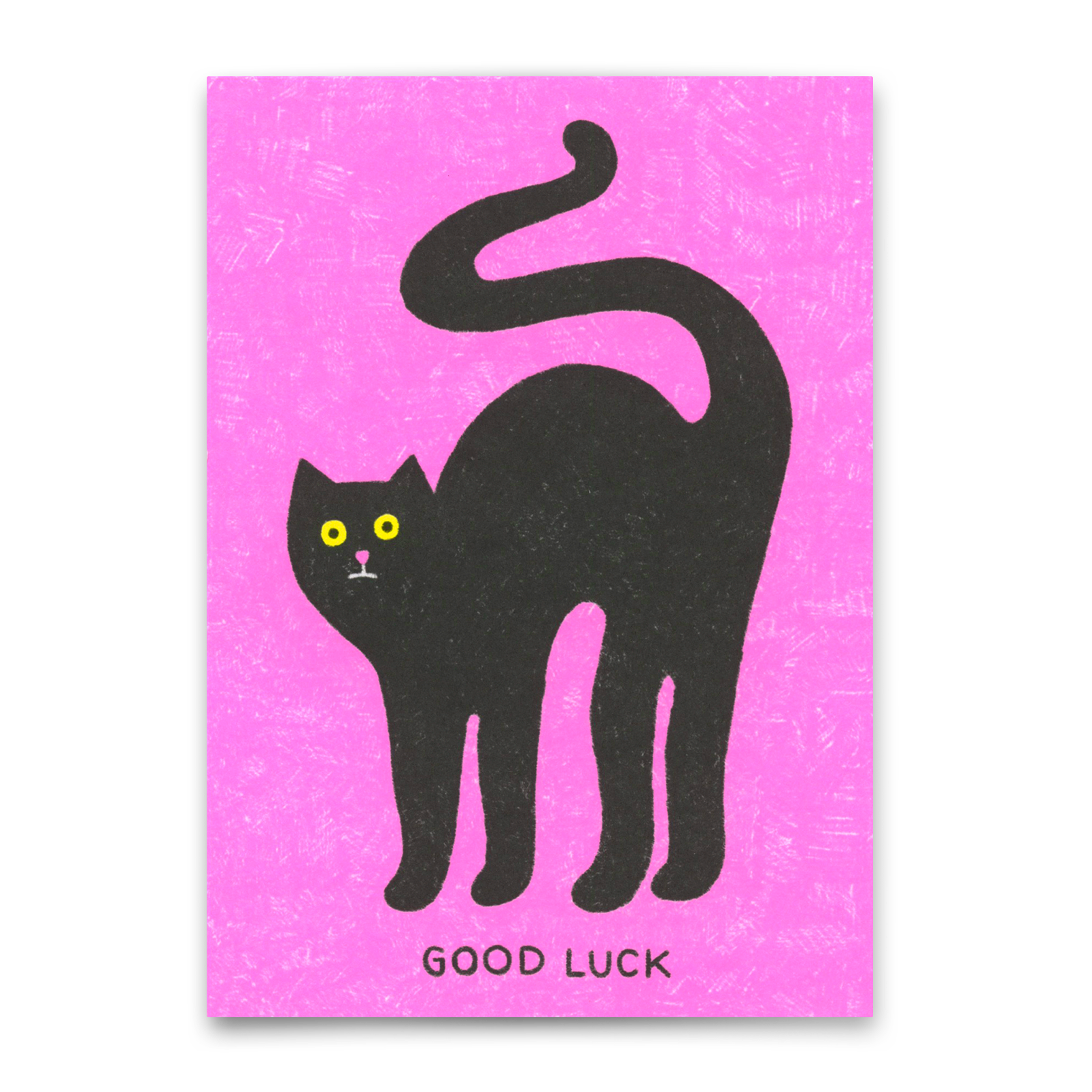 Postkarte "Good luck cat" | Besondere Karte mit Katzen-Motiv